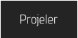 Projeler
