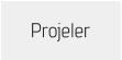 Projeler